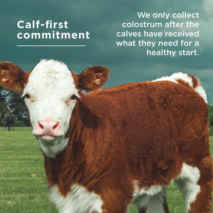 Ancient Nutrition Colostrum + Collagen 75ct