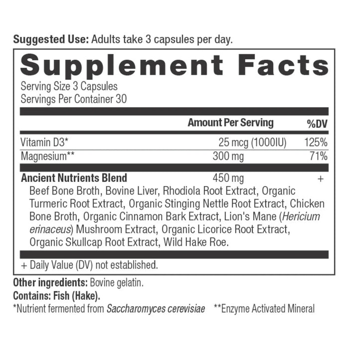 Ancient Nutrition Magnesium 90ct