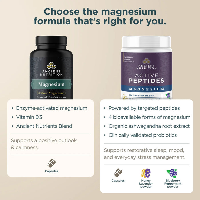 Ancient Nutrition Magnesium 90ct
