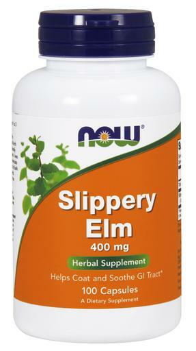 Slippery Elm (Ulmus fulva), also known as Red Elm, Moose Elm or Indian Elm, Is a small tree native to North America