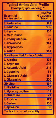 Typical Amino Acid Profile per NOW Sport Amino Complete™